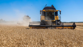 Первые сто тысяч тонн зерновых собраны в Липецкой области