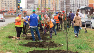 Фонд «Милосердие» и НЛМК подарили Липецку аллею из 100 лип