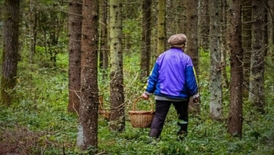 Липецкие спасатели вывели из леса заблудившуюся женщину на звук сирен пожарных машин