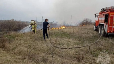 За прошедшие сутки в Липецкой области трава горела 48 раз