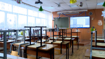 Шесть школ Липецка перешли на дистанционное обучение из-за ОРВИ