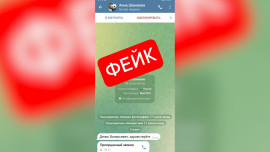 Четыре дня подряд мошенники создают фейковый Telegram-канал от имени замглавы администрации Липецка Анны Шамаевой