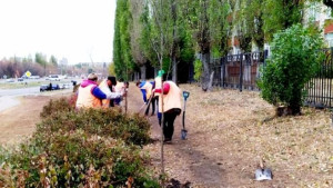 В Липецке сажают цветы, кустарники и деревья