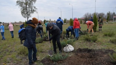 Рекордное количество растений высадили в ОЭЗ «Липецк» 