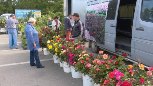 В пятницу и воскресенье пройдут ярмарки 