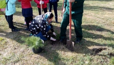 В регионе прошла акция «Живи, лес!»