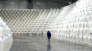 Липецкие заводы переработали почти 900 тысяч тонн свёклы нового урожая