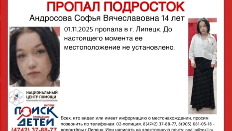Пропавшую в Липецке 14-летнюю Софью Андросову нашли живой