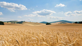 Липецкой области добавили 1,7 млн рублей на подготовку кадров для АПК