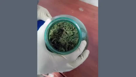 Мужчину поймали на хранении марихуаны в Липецкой области