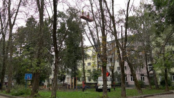 На Терешковой, Неделина и проспекте Победы в Липецке ликвидируют аварийные деревья