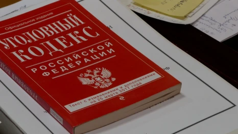 Двое доставщиков подменили мобильный телефон на муляж по пути из липецкого ПВЗ