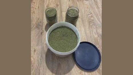 В Липецкой области у мужчины изъяли более 700 грамм марихуаны 