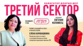 Субсидии. Елена Каравашкина