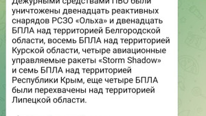 Четыре БПЛА подавлены ночью над территорией Липецкой области 