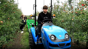 300 студентов из разных регионов России приехали собирать яблоки в Липецкую область