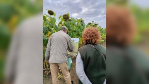 Художники России приехали в Липецкую область на арт-пленэр к 80-летию Победы