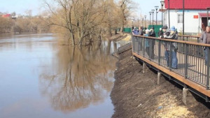 Пешеходный мост в Данкове восстановят после того, как уйдёт вода