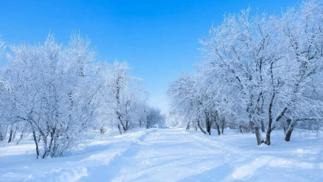 В Липецке 4 января будет прохладно и без осадков