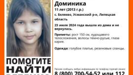 В Липецкой области пропала 11-летняя девочка