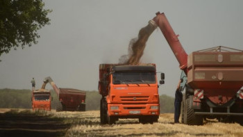 Уборка зерновых в Липецкой области перешагнула экватор