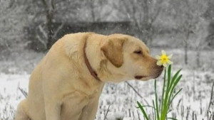 Какой будет нынешняя зима: прогнозы синоптиков