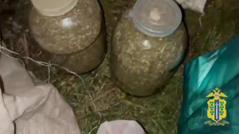 Полиция изъяла 5,8 кг конопли у жителя Тербунского округа