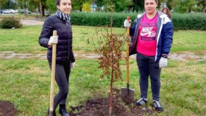 Грантовая программа "Стальное дерево" открыла новый прием заявок для жителей региона