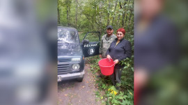 В Липецкой области лесники и спасатели вывели из чащи заблудившуюся женщину
