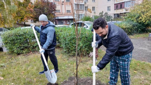 Совместный проект НЛМК и фонда «Милосердие» помогает благоустраивать липецкие дворы