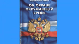 Нарушители природоохранного законодательства в сентябре оштрафованы на 264 тысячи рублей