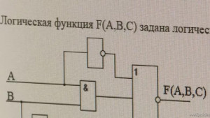 Елецкие студенты стали победителями интернет олимпиад (видео)