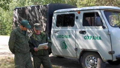 В Липецкой области учредят премии для лучших работников лесной отрасли