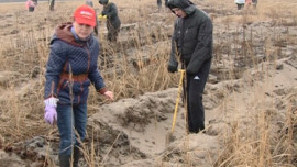 Липецкие журналисты посадили «Лес Победы»