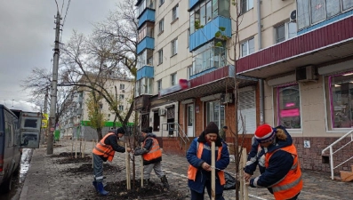 7 ноября на проспекте Мира высадили главный символ Липецка