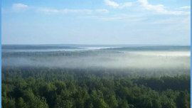 216 млн рублей на защиту экологии направит Липецкая область