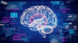 Суперфиналист «Лидеров России» рассказал липецким школьникам о пользе искусственного интеллекта