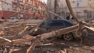 В центре Липецка дерево упало на иномарку