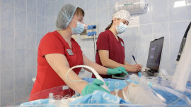 Липецкий перинатальный центр – один из лидеров по предотвращению детской смертности в России