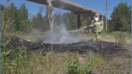 В Липецкой области за сутки дважды горела сухая трава