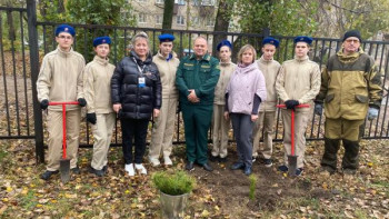 Аллеи памяти защитников Отечества высаживают в школах Липецка