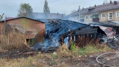 Мужчина погиб при пожаре в надворных постройках в Грязях