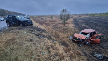 Водитель погиб в тройном ДТП в Липецкой области