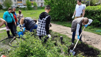 «Зелёные» акции проходят в липецких дворах