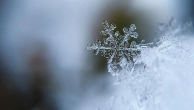 Синоптики обещают сегодня снег с дождем