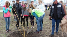 В Липецкой области готовятся к международному Дню земли