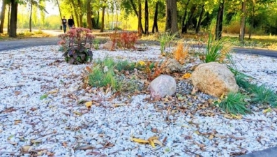 «Зеленхоз» готовит к открытию сразу несколько городских пространств