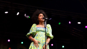 В Липецке прошёл третий липецкий фестиваль «Джаз на Зелёном острове»