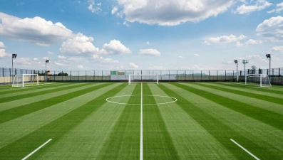 Развитие массового спорта в России: от государственной стратегии к локальным успехам