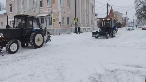 Школьники Ельца из-за аномальных морозов 2 и 3 февраля смогут учиться дистанционно